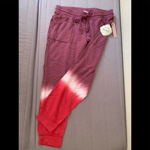 Knox Rose Women’s Jogger Pants